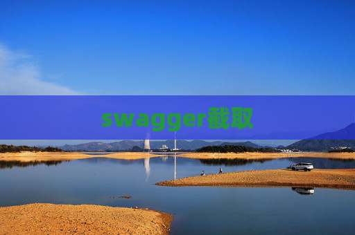 swagger截取